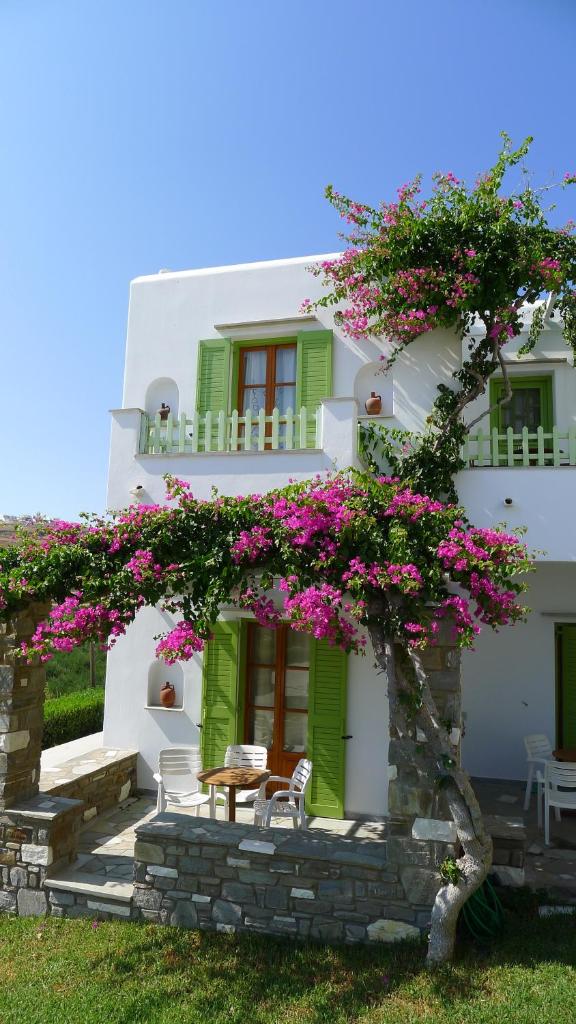 Elena Studios & Apartments photo 1