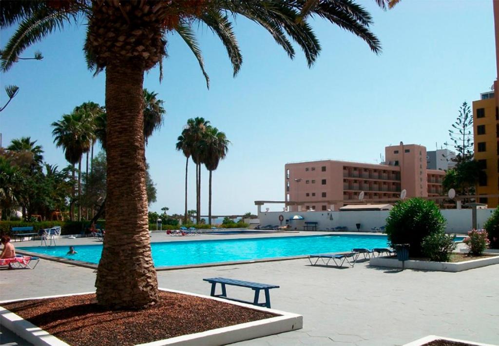 Apartamento en Viña del Mar photo 1
