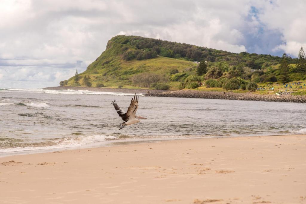 Seascape - Lennox Head photo 3
