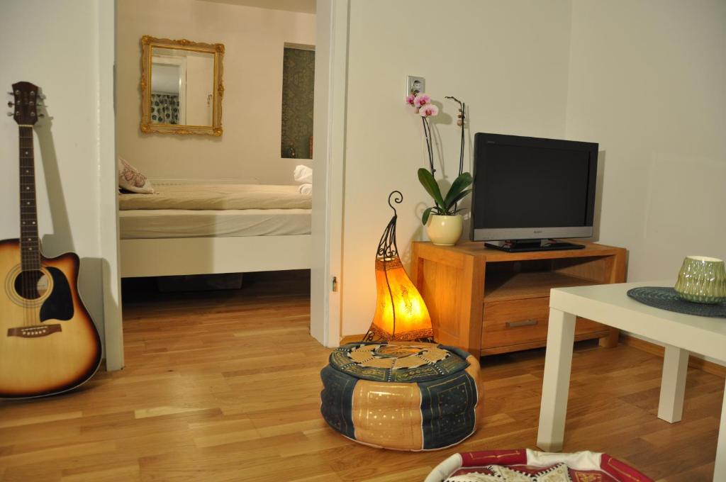 Apartment Vodnik photo 3