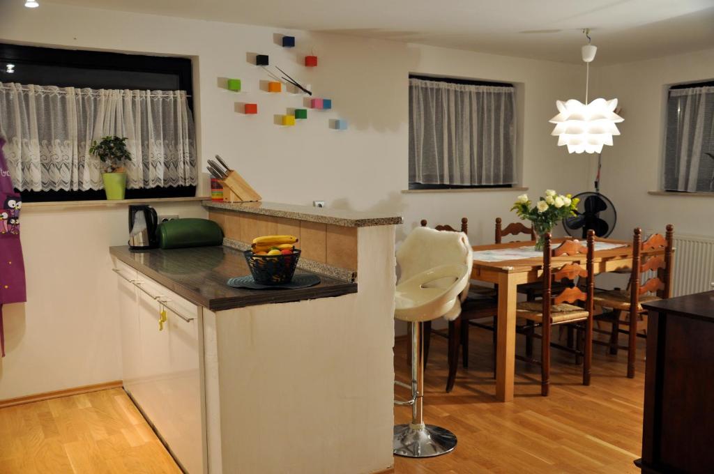 Apartment Vodnik photo 1