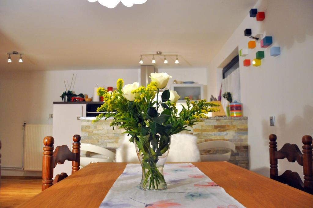 Apartment Vodnik photo 4