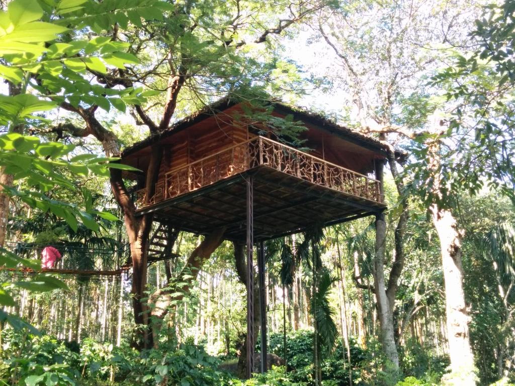 Tranquil Resort - Blusalzz Collection, Wayanad - Kerala photo 2