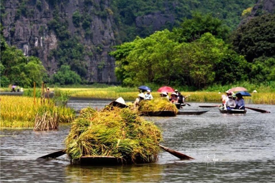 Tam Coc Cozy Homestay