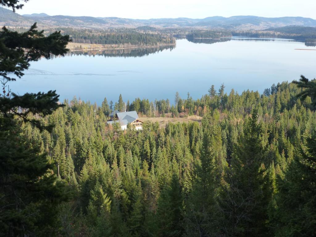 Little Black Bear Lodge/B&B photo 1