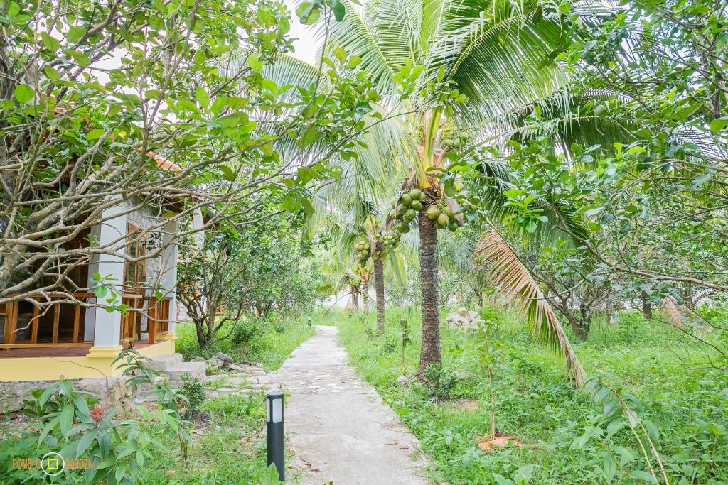 Phu Quoc Pomelo Garden