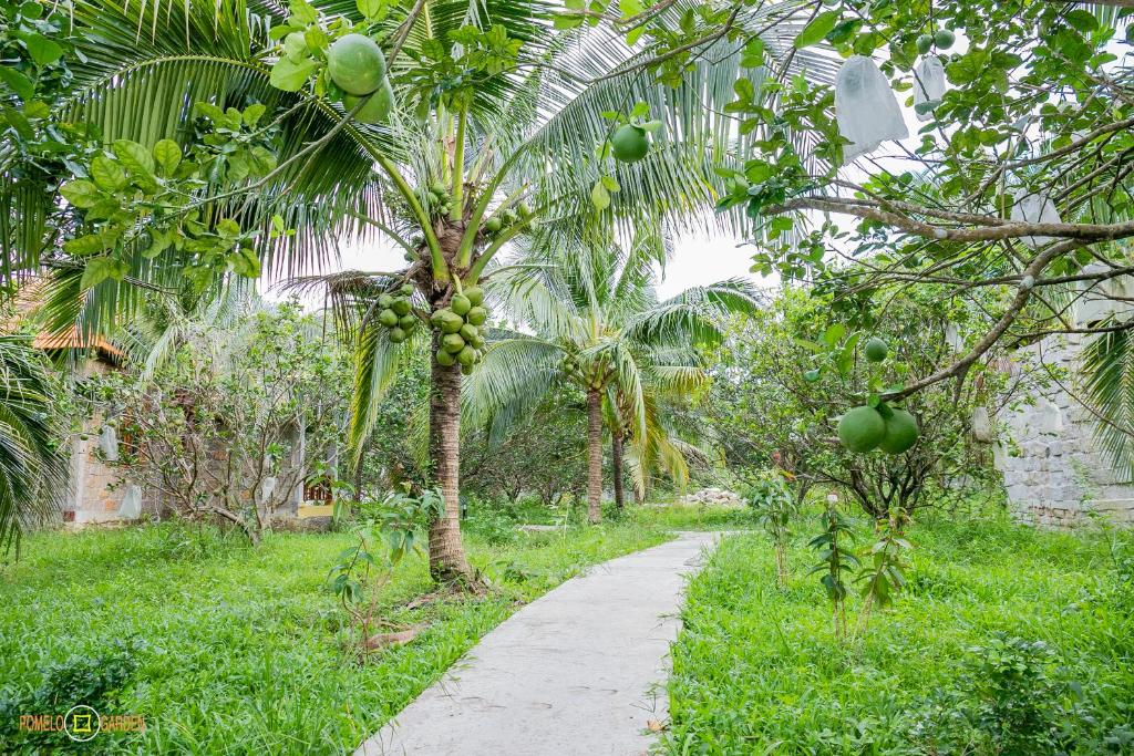 Phu Quoc Pomelo Garden