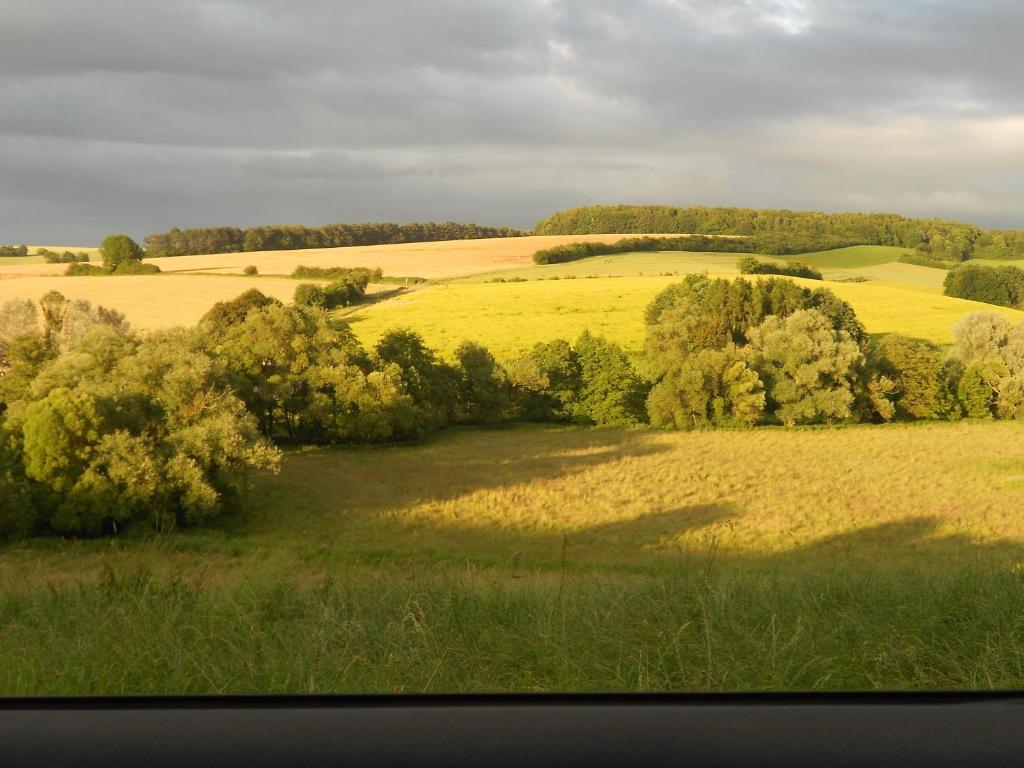 Eulennest, Haus Vogelgesang photo 4