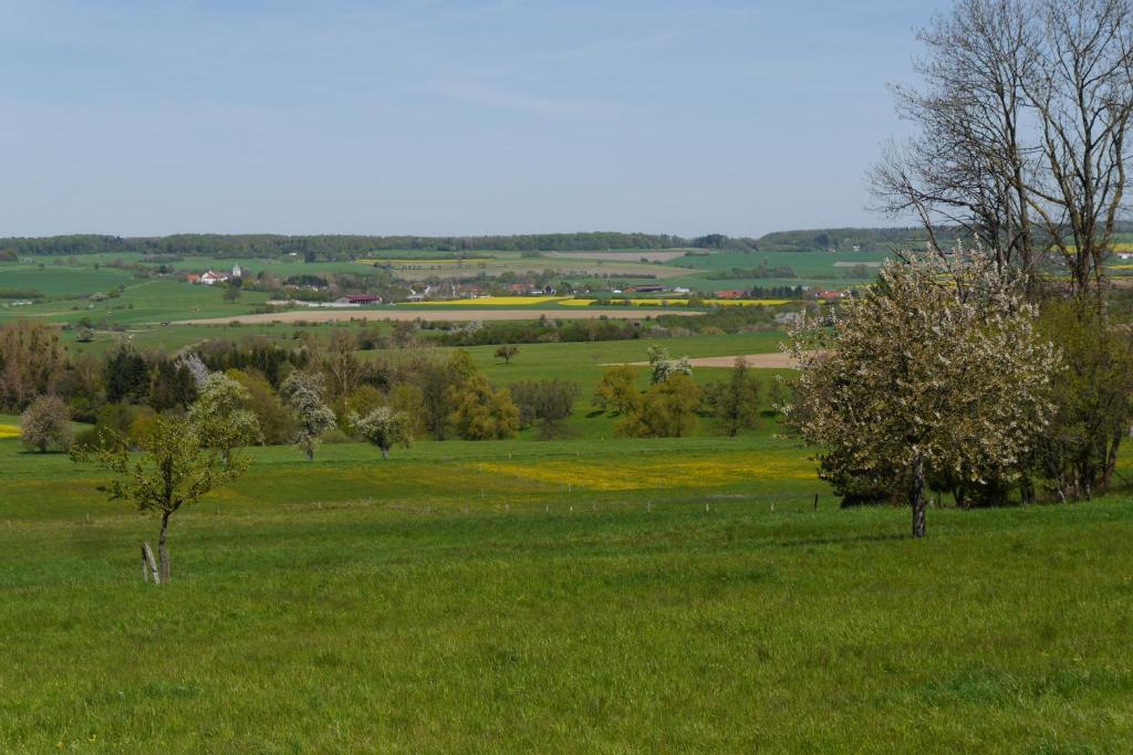 Eulennest, Haus Vogelgesang photo 3