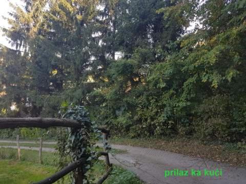 "Popov VRT" Banoštor - kuća-vikendica na Dunavu-Fruskoj Gori photo 3