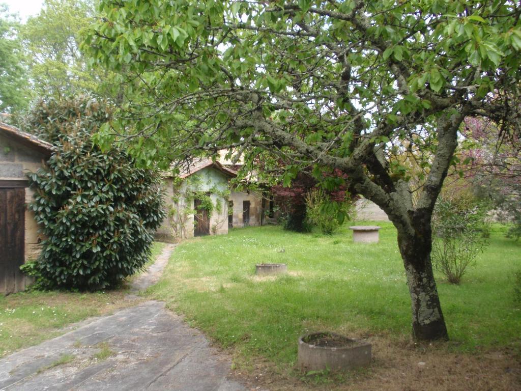 La Maison d'Alienor photo 4
