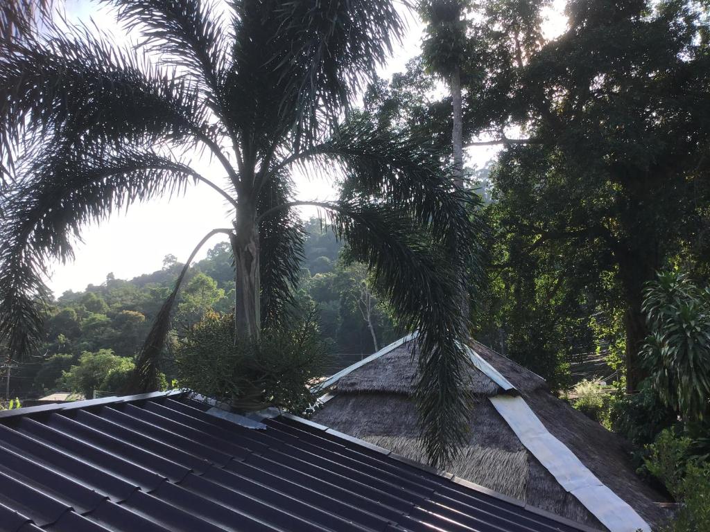Номер (Улучшенное бунгало), The Grand Tree Resort