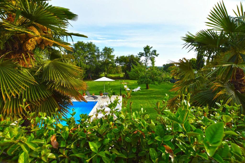 Villa Micheline photo 3