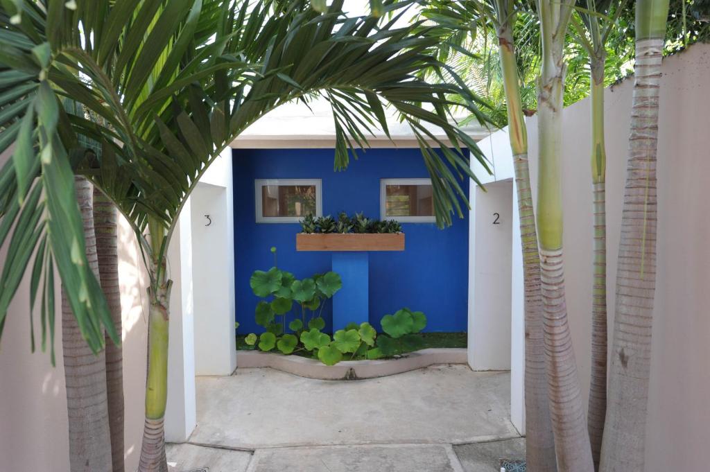 4 Casitas photo 3