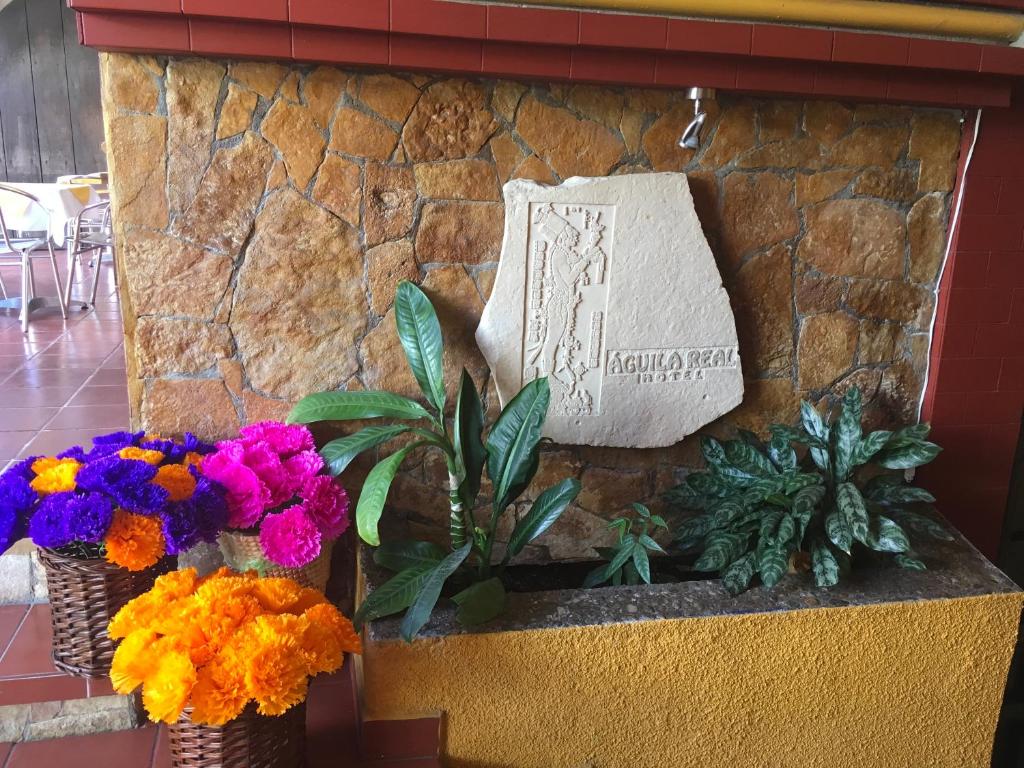 Posada Aguila Real photo 1