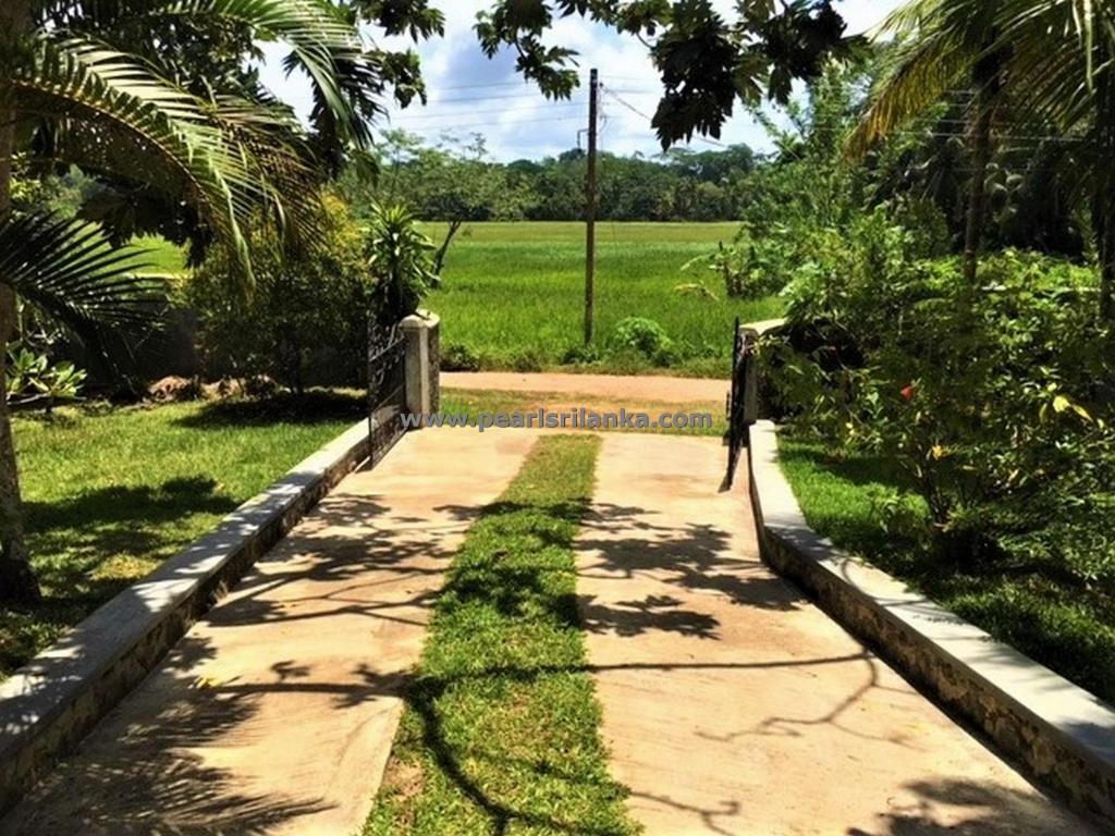 Lucky Sevana photo 3