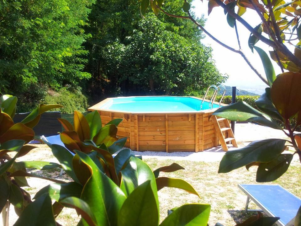 B&B La Fenice photo 1