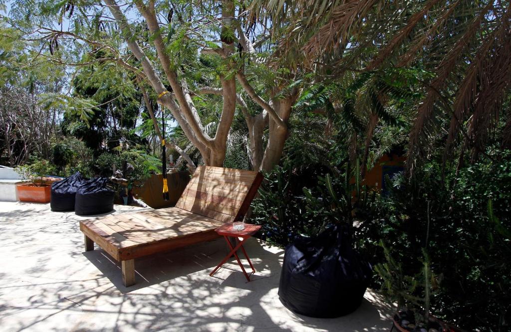 StevieWonderLand Playa El Yaque photo 3