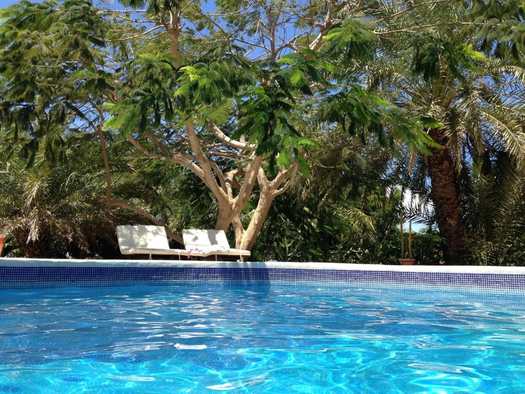 StevieWonderLand Playa El Yaque photo 1