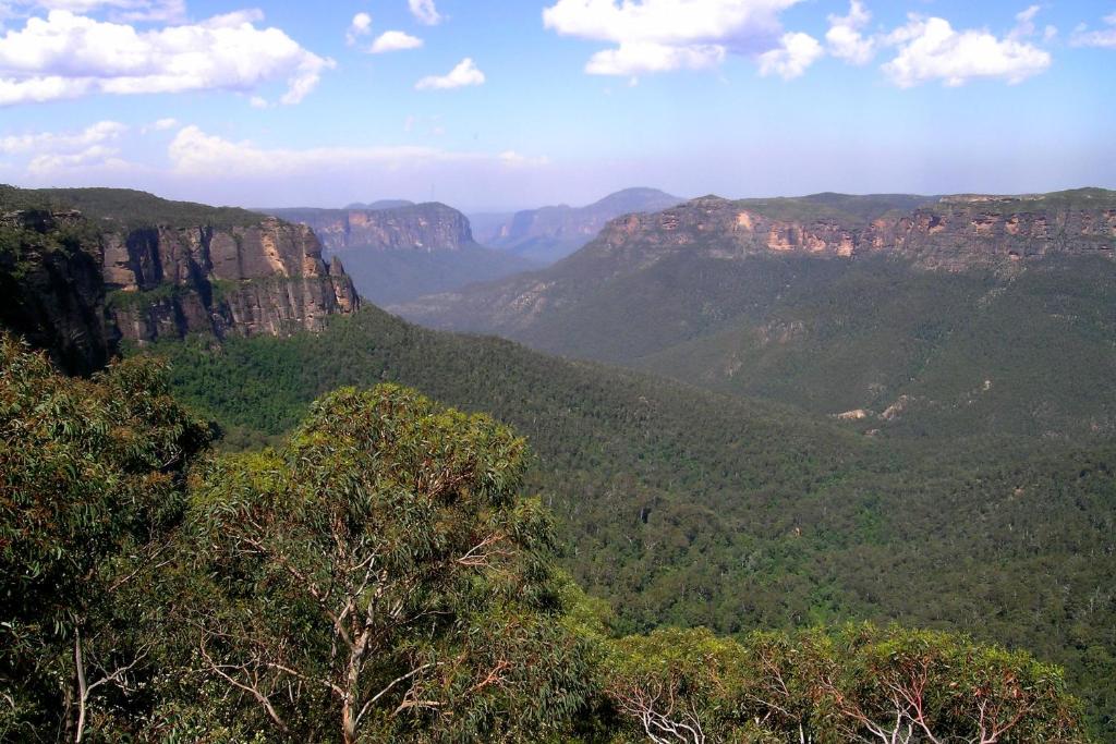 Ribbon Gum Lodge photo 1