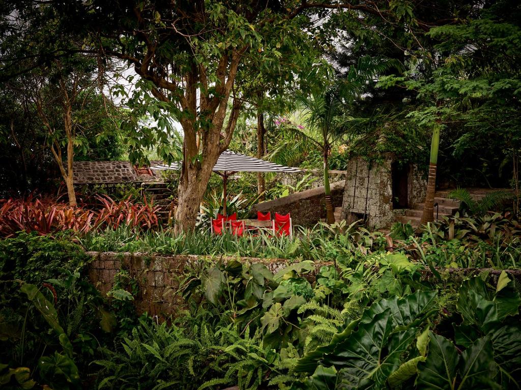 Golden Rock Nevis photo 1