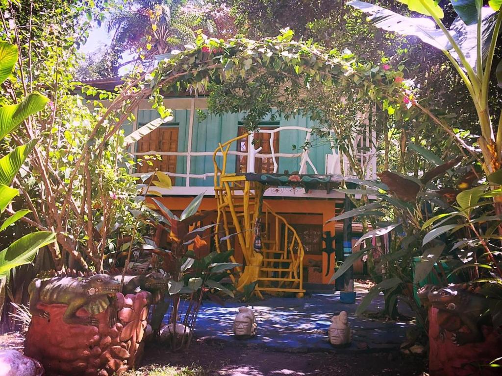 Madre Selva Hostel photo 2
