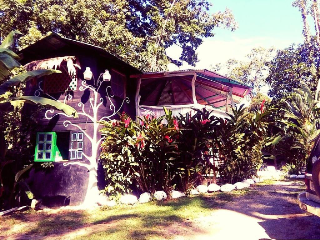 Madre Selva Hostel photo 1