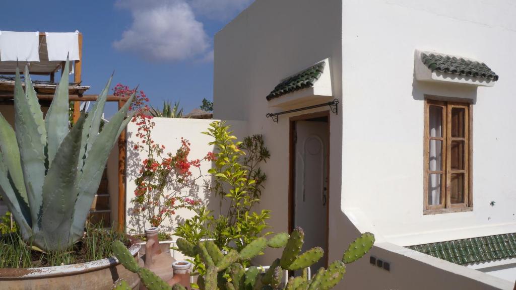 Двухместный (Двухместный номер с 1 кроватью и террасой), Riad Le Coq Berbère
