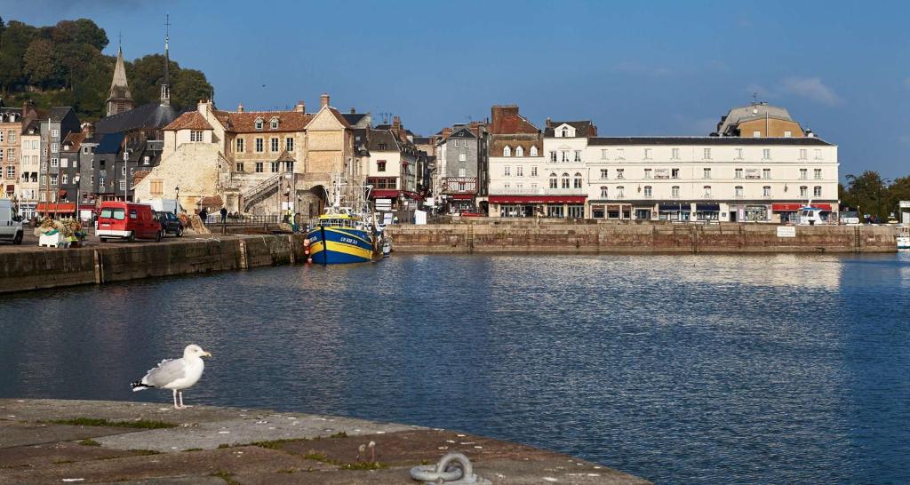 Best Western Le Cheval Blanc -Centre- Vieux Port photo 1