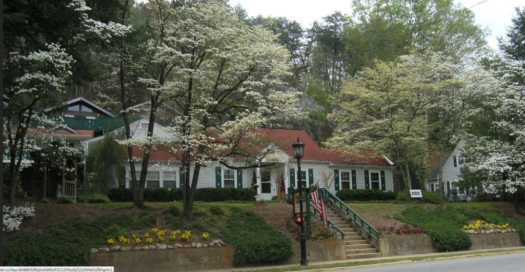 Black Forest Bed & Breakfast photo 1