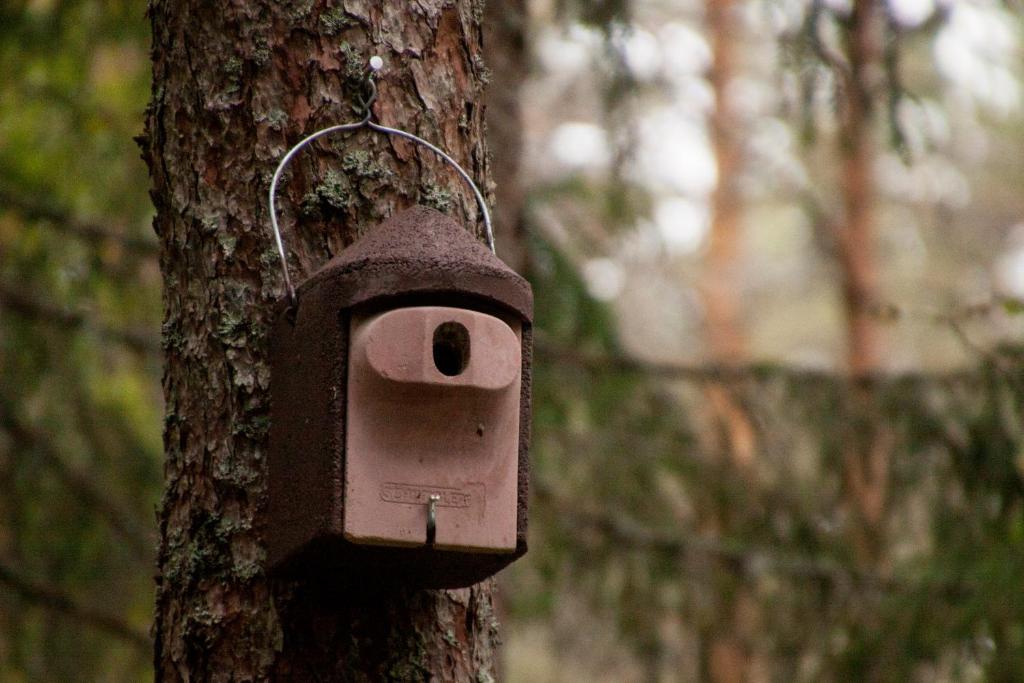 Pullijärve Holiday Park photo 4