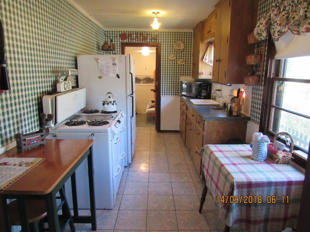 Apple Bear Cabin photo 3