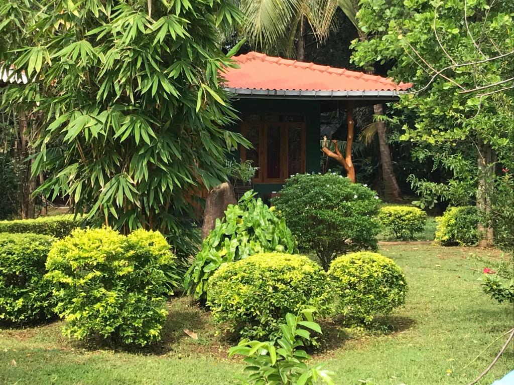 Liyon Rest photo 4