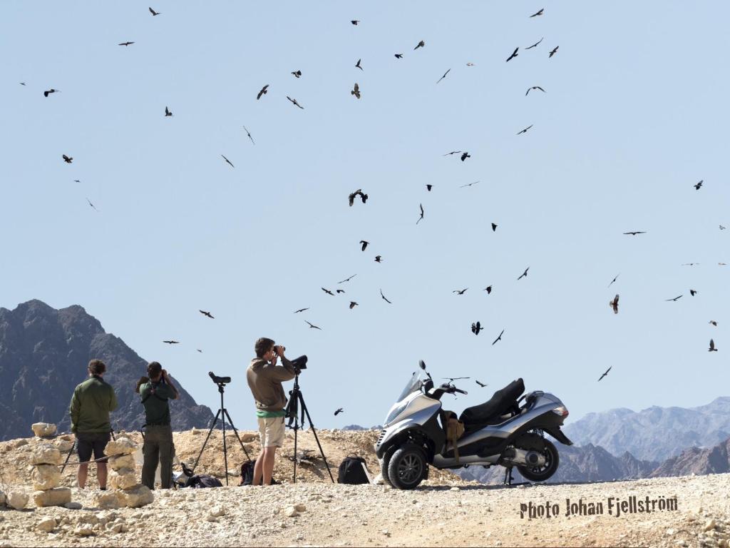 The Birdwatchers Nest photo 3