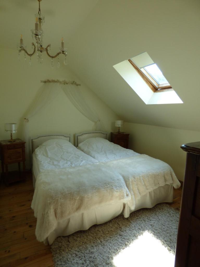 Le Clos des Camélias photo 3