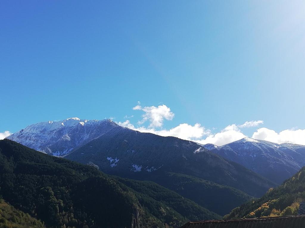 Edelweiss photo 4