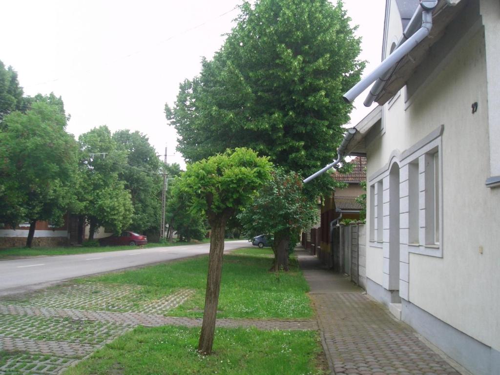 Apartments-Mini-Hotel