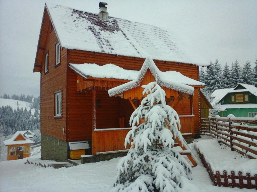 Romashka Guest House photo 3