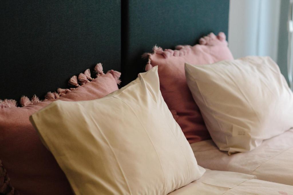 Cosy Downtown Studio - Suite photo 1
