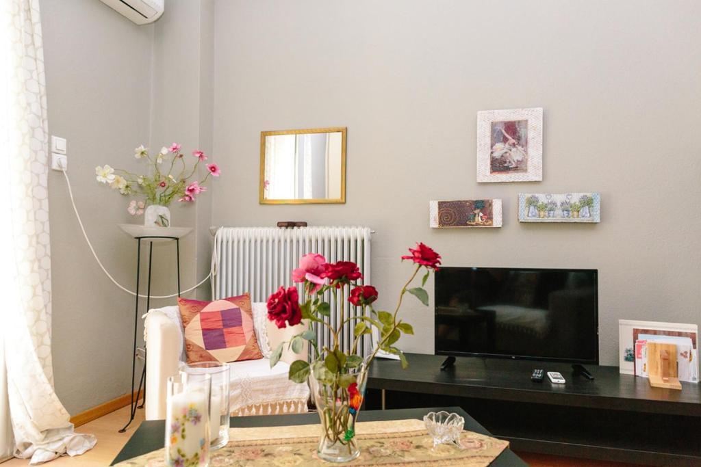 Cosy Apartment in the Centre of Komotini photo 1
