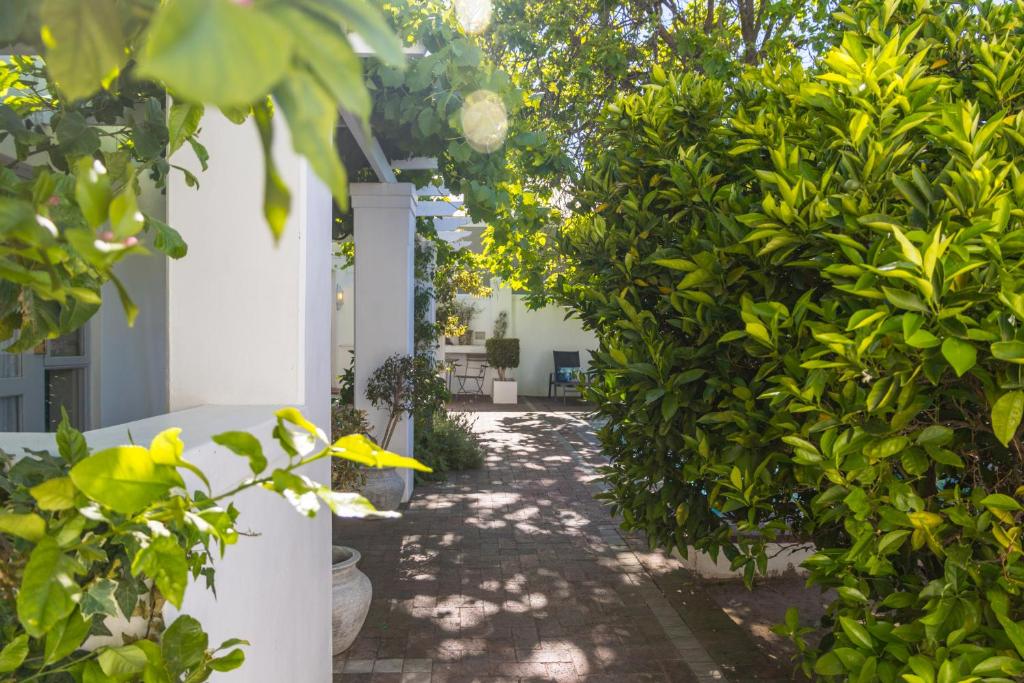 Ashbourne Boutique Guest House photo 4
