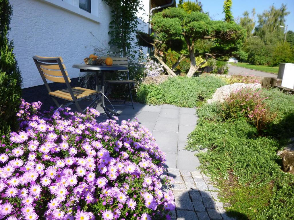 Ambiente in Karlsruhe City photo 3