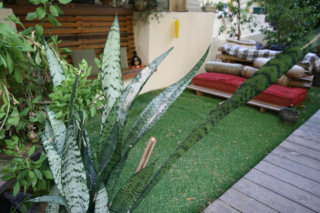 Wonderful Garden Apartment photo 3