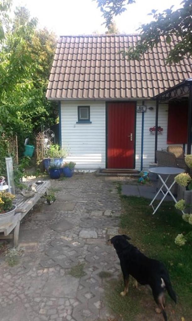 Das kleine Ferienhaus photo 2