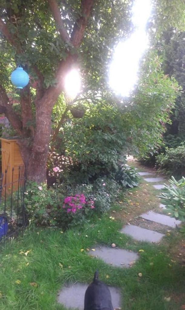 Das kleine Ferienhaus photo 4
