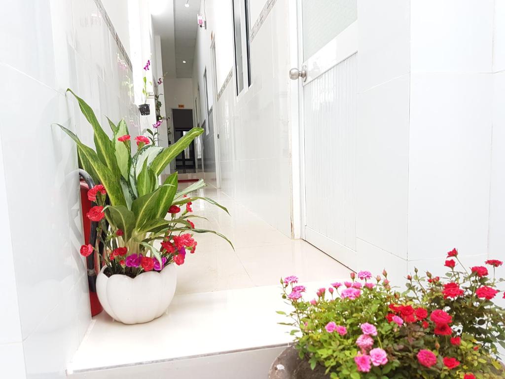 Song Ngoc Guesthouse