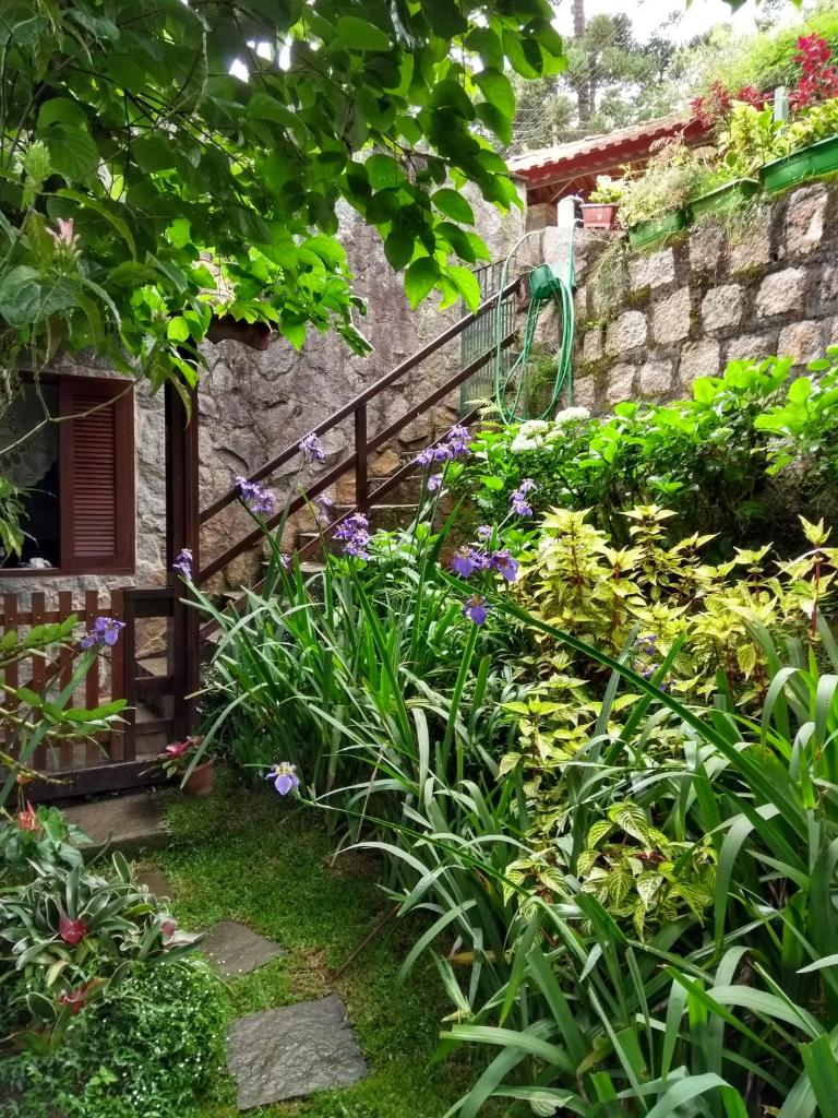 Chalé charmoso e aconchegante em Visconde de Maua photo 4