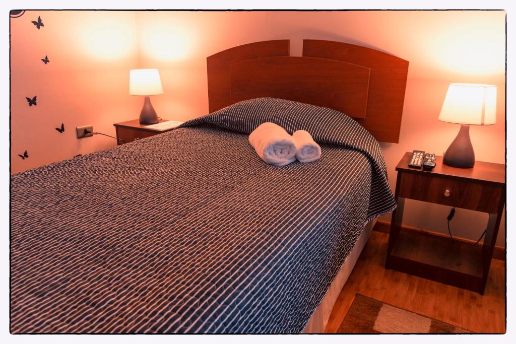 Hostal Los Teros photo 3