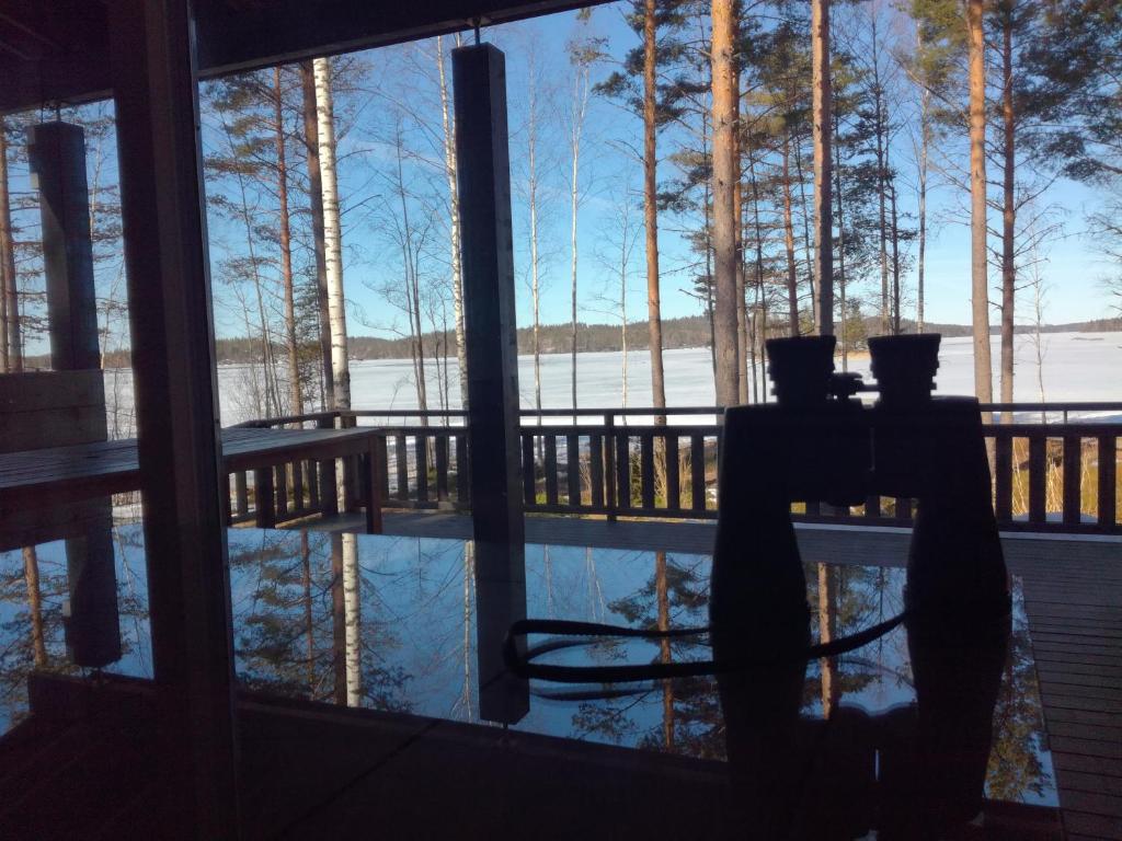Nestorinranta Villa photo 3