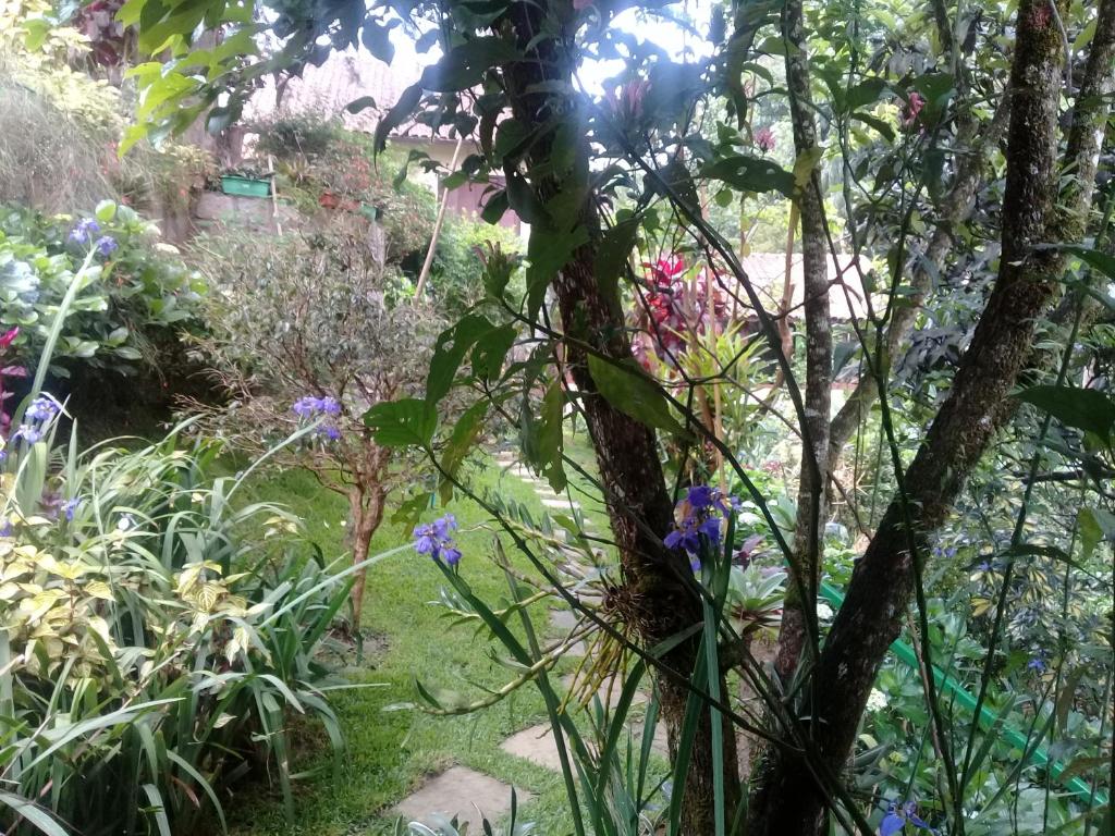 Chalé charmoso e aconchegante em Visconde de Maua photo 3